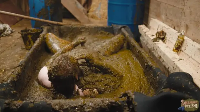 Franky’s Time in the Manure Basin
