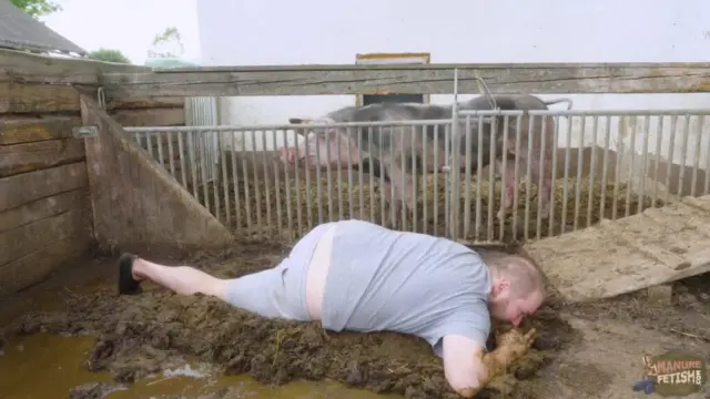 Franky The Pig