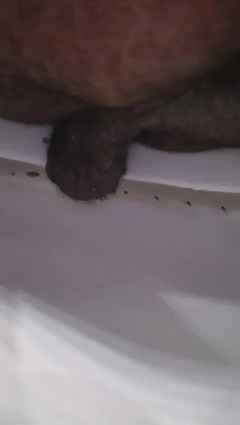 EAT SHIT!